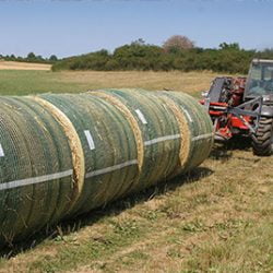 Bales of hay wrapped in netting