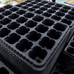 A few stacks of plastic Plant Trays