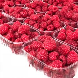 Raspberries in plastic Punnets