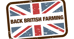 Buying British Farming: Why Supporting Homegrown Agriculture Matters_ 1 Buying British