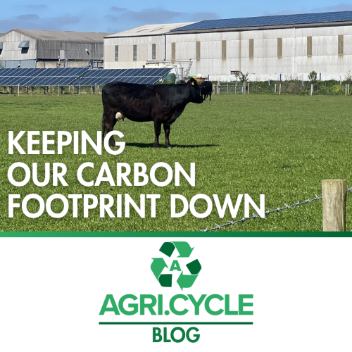 Keeping Our Carbon Footprint Down