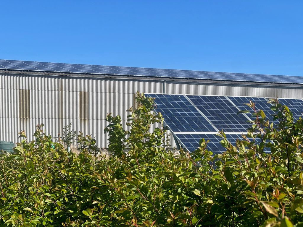 Keeping Our Carbon Footprint Down_ 1 solar panels